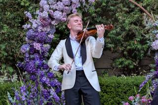 Ben Hoyt Violin - 6