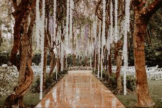 Wildwood Floral - 7