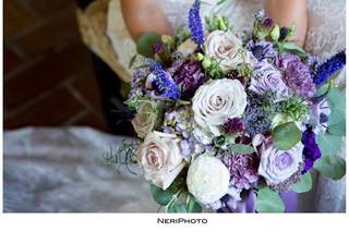 NeriPhoto - 54