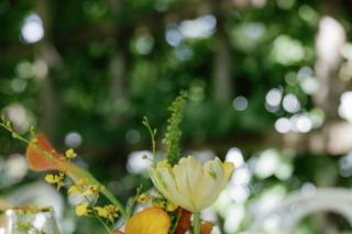 Fleuressence - 9