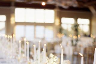 Dancing Stems Design - 7