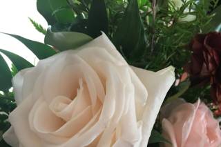 Always & Forever Flowers - 19