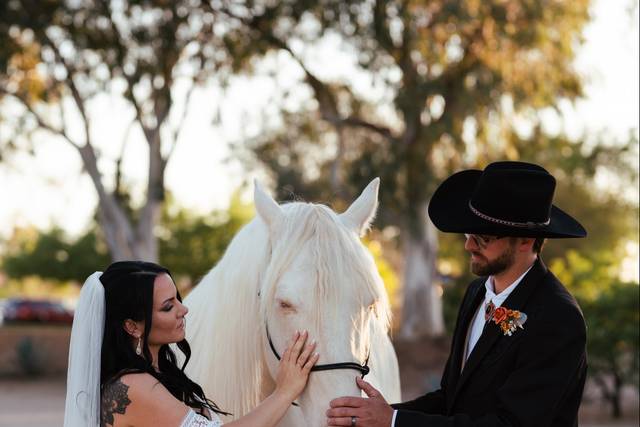 Rancho de los Caballeros 4