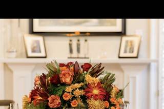 Groovin' Gourmets - Hampton Roads - 5