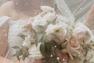 Kelly Stevens Photography - 6