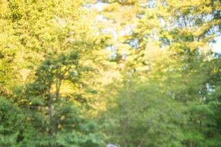 Alexandra T. Wren Photography - 59