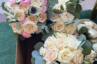 Chiara Flowers - 156