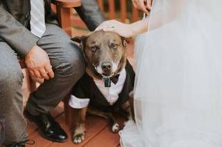 Carolyn Jorgensen Photography - 51