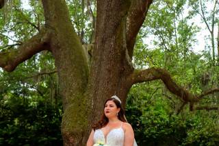 Southern Honeybee Photography - 6