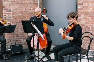 Tribute String Quartet - 5