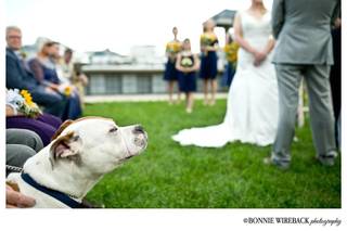Bonnie Wireback Photography - 10