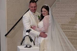 Atlantis Banquets & Events - 5