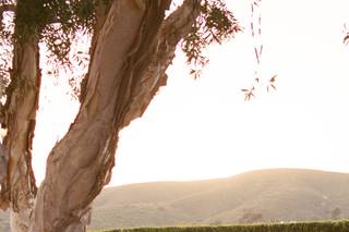 Weddings at Twin Oaks - 6