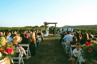 Big Cork Vineyards - 5