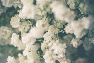 DAVID ALDERMAN PHOTOGRAPHY - 9