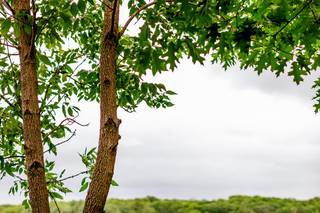 Penobscot Bay Estate - 9