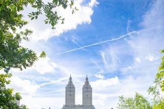 Steven Rosen Photography - 14