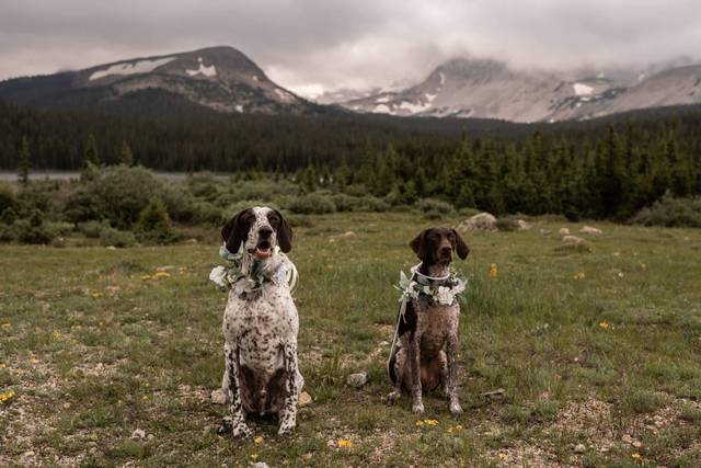 Castner Photography 5