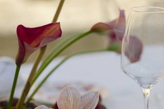 Ilaria Manaresi Wedding Planner - 8