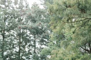 Jill Lynn Photography - 6