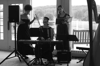 Kristen LaChance Special Events Musician - 5