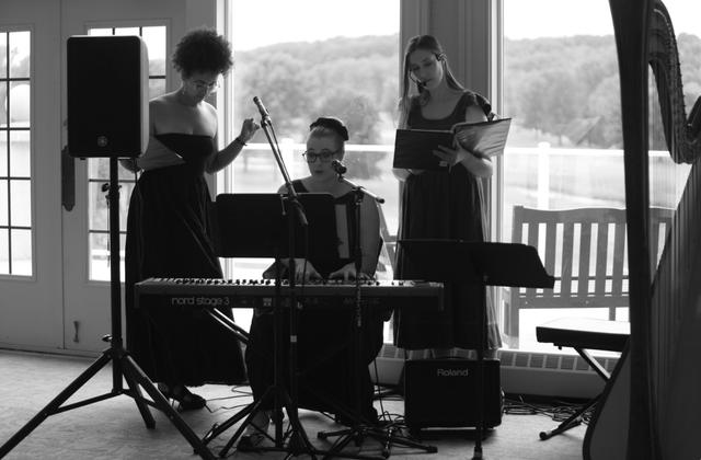 Kristen LaChance Special Events Musician - 1
