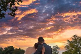 Martin Miller Photography - 10