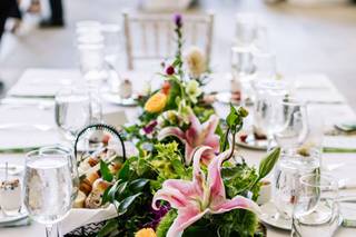 Sweet Pea - 24