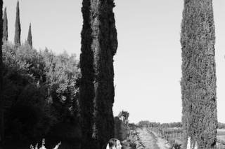 Draping Wedding - 29