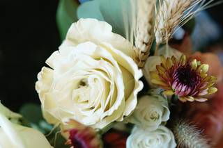 Pat Cori Photography - 8