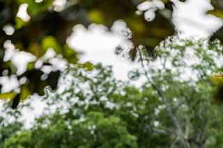 Brittany Morgan Photography - 51