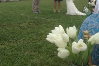 Officiant & Life Strategist - 9