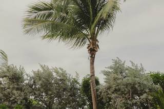 Seafire Resort & Spa - 5