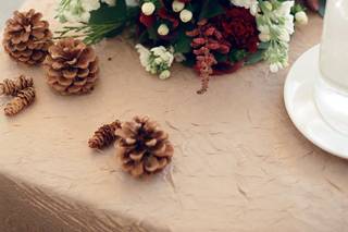 Lauren Leyba Photography - 11