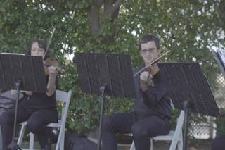 Eliana Strings - 25