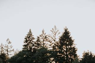 Bailey Batishev Photography - 38
