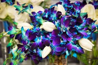 Amore Fiori Flowers and Gifts - 90