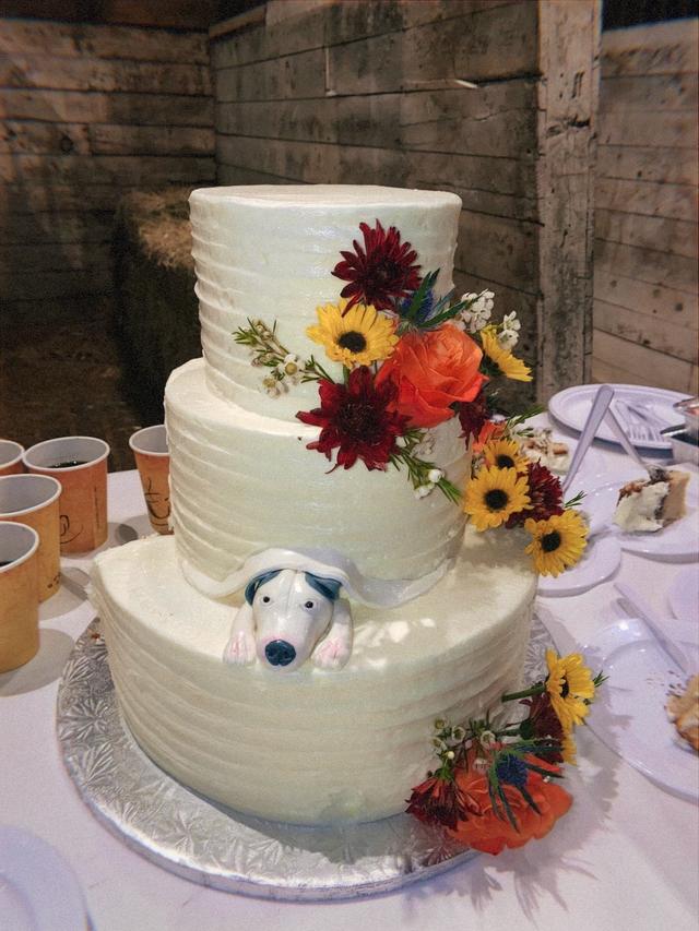 Bovella's Pastry Shoppe - 1