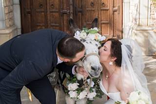 Haul N Ass Productions - 18