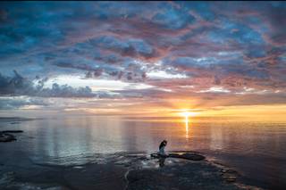 Bayshore Grove - 13