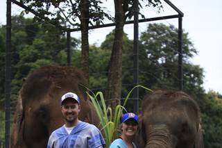 Perfect Honeymoons - 40