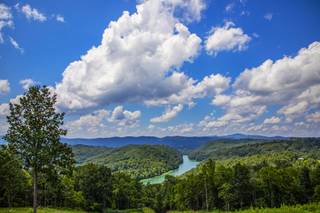 Norris Lake Haven Farm, LLC - 5