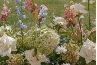 Kate Campbell Floral - 83