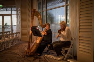 Kraichy and Erickson Harp and Violin - 10