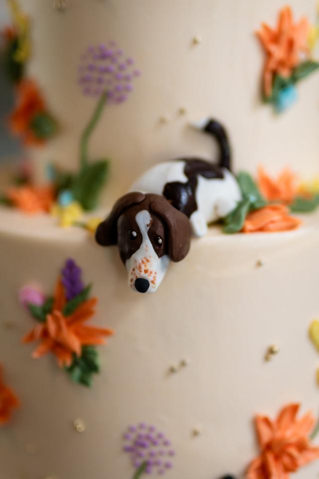 Wicked Cakes of Savannah - 2