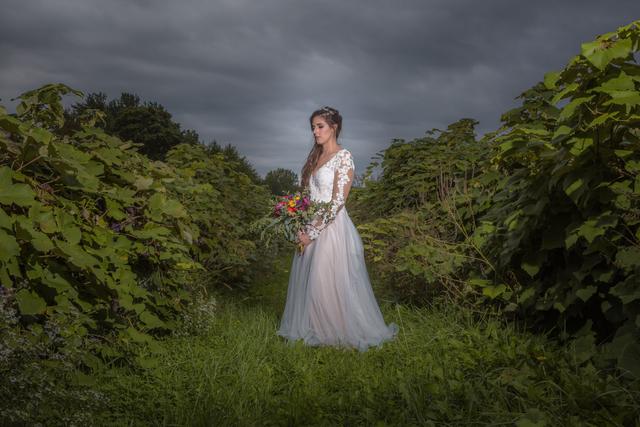 John McDonald Photography - 4