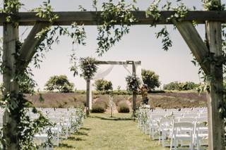 Lavender Shores Farm - 8