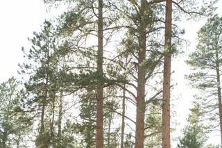 Black Hills Receptions and Rentals - 7