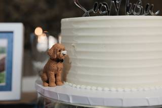 Author Audrey Weddings & Events - 8
