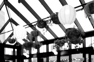 Futtitinni Events - 7